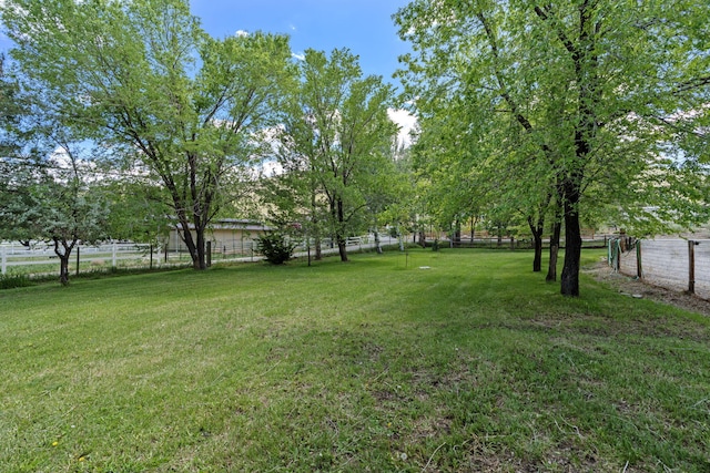 295 Andrew Ln, Reno, NV 89521 - view of yard