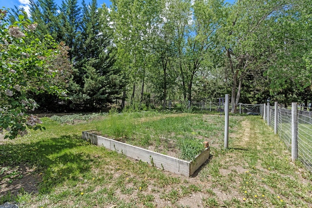295 Andrew Ln, Reno, NV 89521 - view of yard with a garden
