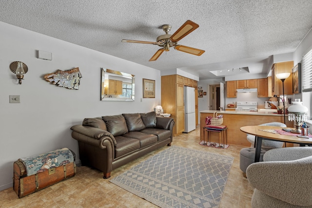 295 Andrew Ln, Reno, NV 89521 - living room with ceiling fan, plenty of natural light, and a textured ceiling