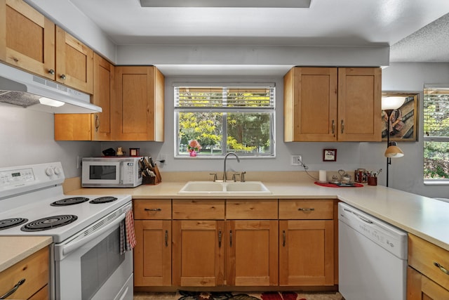 295 Andrew Ln, Reno, NV 89521 - kitchen with white appliances, under cabinet range hood, a sink, and light countertops