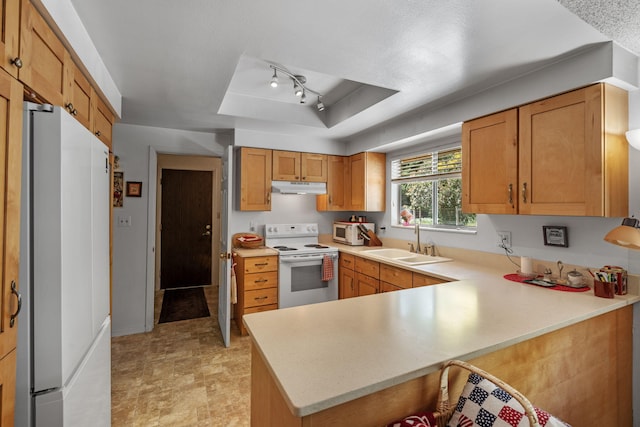 295 Andrew Ln, Reno, NV 89521 - kitchen with white appliances, under cabinet range hood, a sink, a tray ceiling, and a peninsula