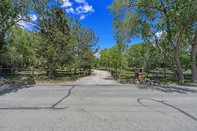 295 Andrew Ln, Reno, NV 89521 - view of asphalt road