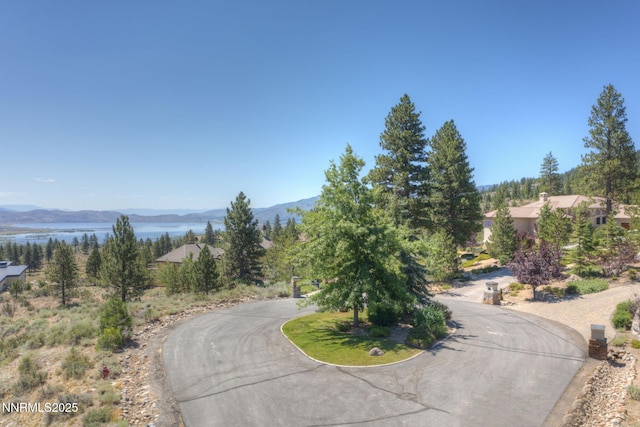 515 Mount Mahogany Ct, Reno, NV 89511 - photo 9