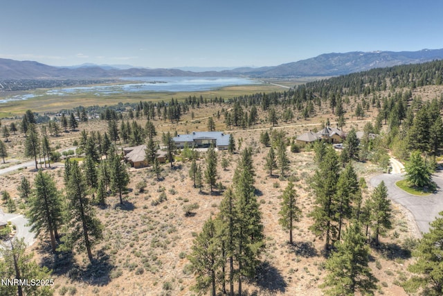 515 Mount Mahogany Ct, Reno, NV 89511 - photo 8