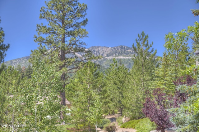 515 Mount Mahogany Ct, Reno, NV 89511 - photo 16
