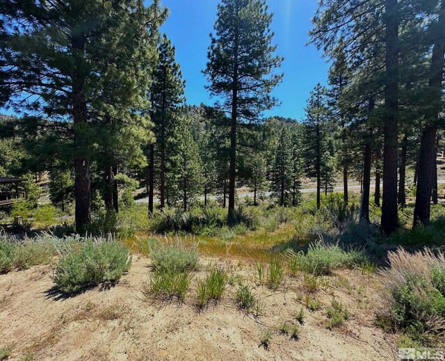 3237 Summit Cp Unit C31, Carson City, NV 89705