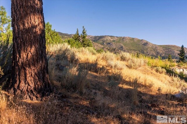3237 Summit Cp Unit C31, Carson City, NV 89705