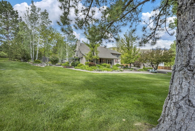 3150 Kings Canyon Rd, Carson City, NV 89703 - view of yard