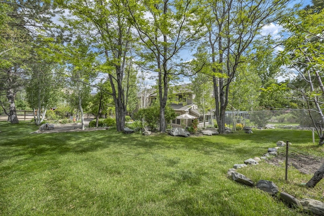 3150 Kings Canyon Rd, Carson City, NV 89703 - view of yard