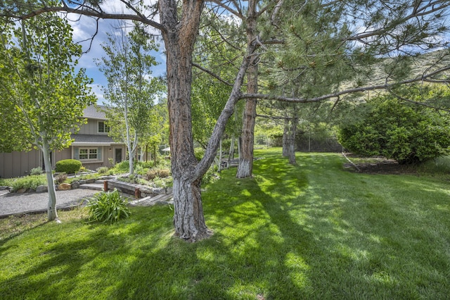 3150 Kings Canyon Rd, Carson City, NV 89703 - view of grassy yard