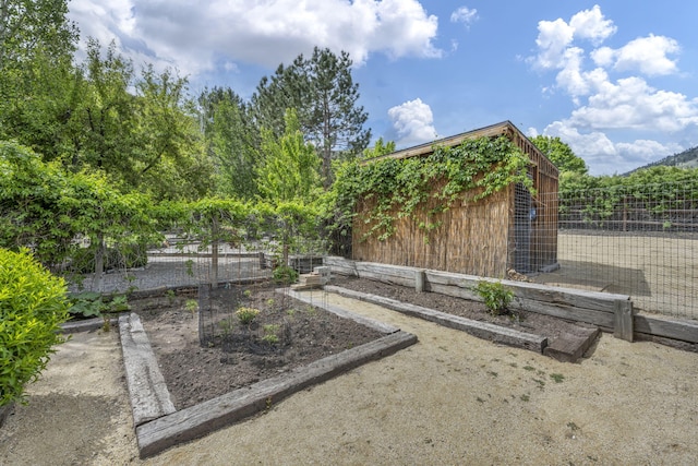 3150 Kings Canyon Rd, Carson City, NV 89703 - view of yard featuring a vegetable garden and an outdoor structure