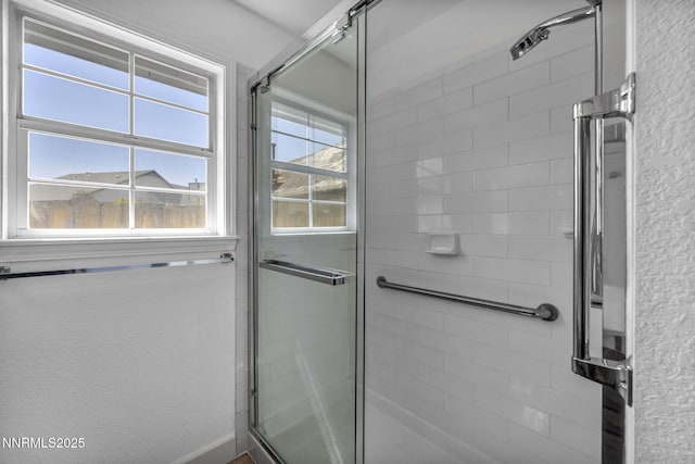185 Windtree Cir, Carson City, NV 89701 - full bathroom with a tile shower