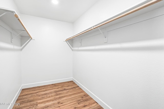 1390 Tule Peak Cir, Carson City, NV 89701 - photo 21