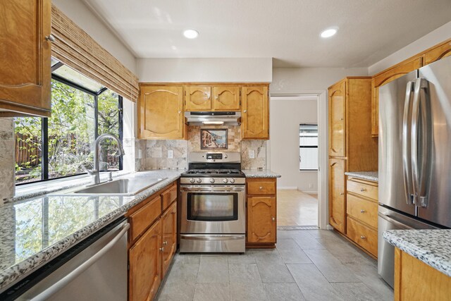 1043 Shenandoah Dr, Carson City, NV 89702 - kitchen featuring stainless steel appliances, a sink, under cabinet range hood, decorative backsplash, and light stone countertops