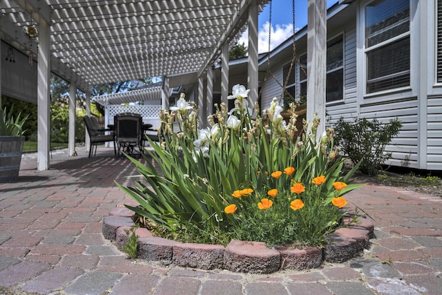 1634 Buzzys Ranch Rd, Carson City, NV 89701 - view of patio / terrace with a pergola, outdoor dining space, and a carport