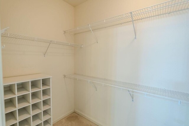 2413 San Remo Dr, Sparks, NV 89434 - view of spacious closet