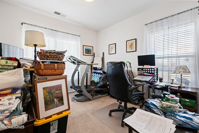 1501 Riverpark Pkwy, Dayton, NV 89403 - home office with plenty of natural light and carpet