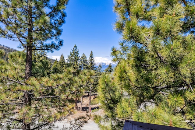 275 Tramway Dr Unit C, Stateline, NV 89449 - bird's eye view