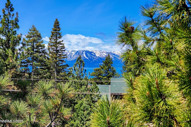 275 Tramway Dr Unit C, Stateline, NV 89449 - mountain view