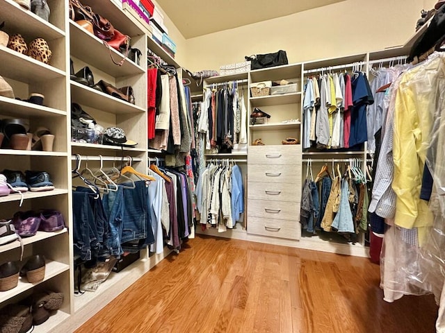 10555 Hampton Creek Dr, Reno, NV 89521 - spacious closet with wood finished floors