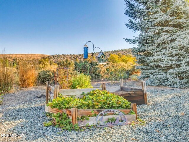 1992 Hackamore Ln, Gardnerville, NV 89410 - view of yard featuring a vegetable garden