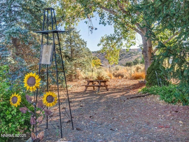 1992 Hackamore Ln, Gardnerville, NV 89410 - view of jungle gym