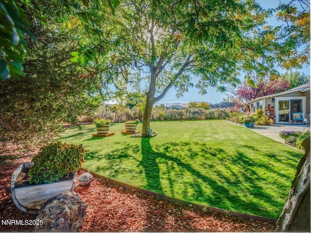 1992 Hackamore Ln, Gardnerville, NV 89410 - view of green lawn