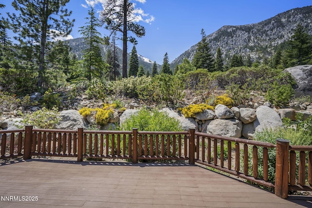 150 Five Creek Rd, Gardnerville, NV 89460 - photo 49
