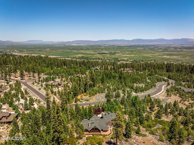 150 Five Creek Rd, Gardnerville, NV 89460 - photo 55