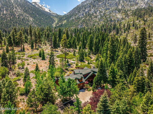 150 Five Creek Rd, Gardnerville, NV 89460 - photo 59