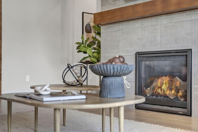 107 Bridlemoor Ct, Reno, NV 89511 - detailed view of a glass covered fireplace and wood finished floors