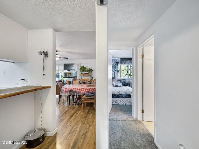 1714 Meadowvale Way, Sparks, NV 89431 - hallway featuring a textured ceiling, light wood-type flooring, and baseboards
