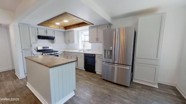 6042 Walnut Creek Rd, Reno, NV 89523 - kitchen with stainless steel appliances, under cabinet range hood, a tray ceiling, dark wood-style flooring, and a center island