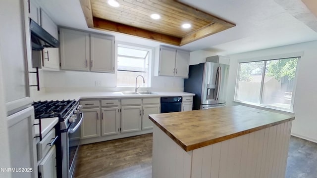 6042 Walnut Creek Rd, Reno, NV 89523 - kitchen featuring wood counters, stainless steel appliances, a tray ceiling, under cabinet range hood, and dark wood finished floors