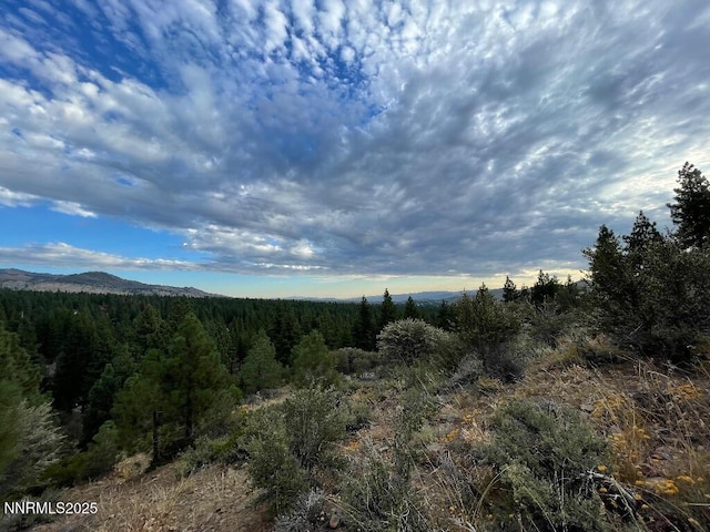3855 Joy Lake Rd, Reno, NV 89511
