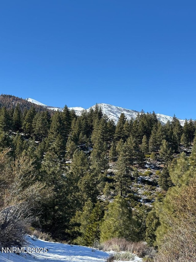 3855 Joy Lake Rd, Reno, NV 89511