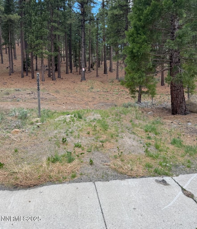 3855 Joy Lake Rd, Reno, NV 89511