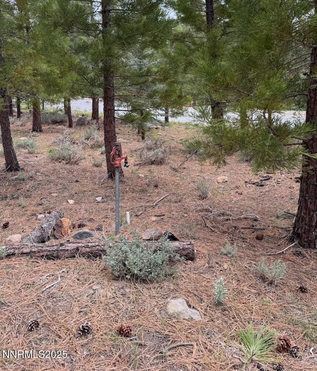 3855 Joy Lake Rd, Reno, NV 89511