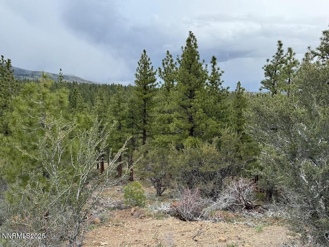 3855 Joy Lake Rd, Reno, NV 89511