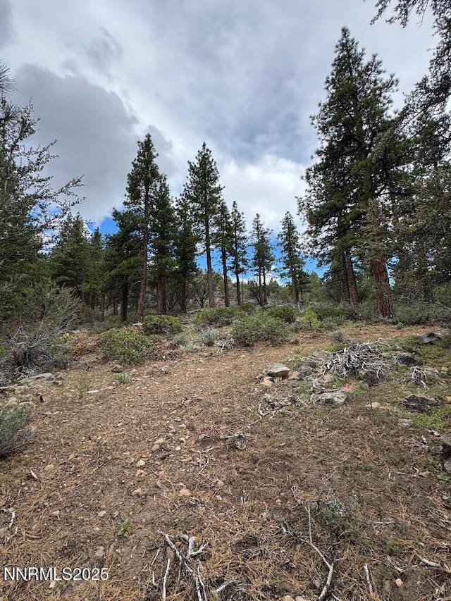 3855 Joy Lake Rd, Reno, NV 89511