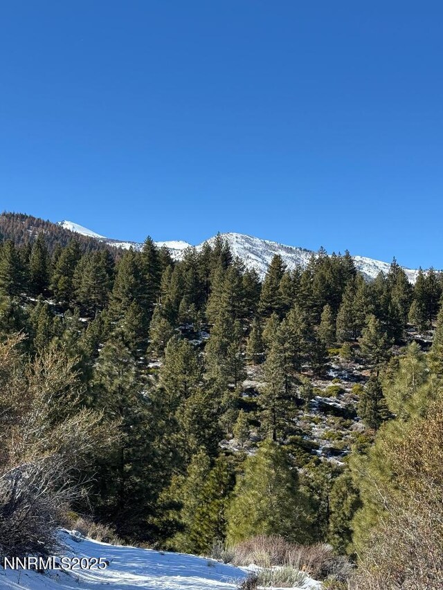 3855 Joy Lake Rd, Reno, NV 89511