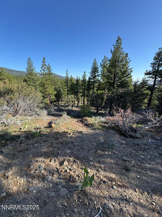 3855 Joy Lake Rd, Reno, NV 89511