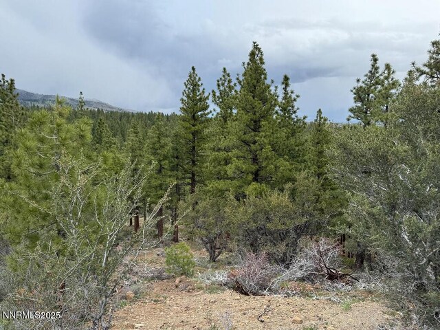 3855 Joy Lake Rd, Reno, NV 89511
