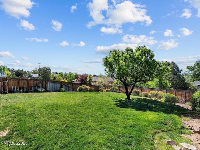 60 Redstone Dr, Reno, NV 89512 - view of yard