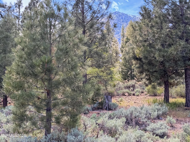 490 Natures Edge Rd, Gardnerville, NV 89410