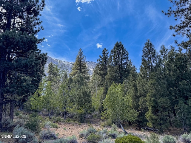 490 Natures Edge Rd, Gardnerville, NV 89410
