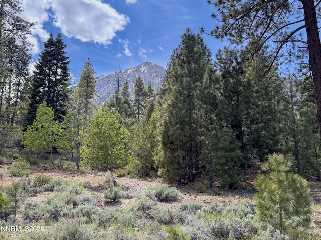 490 Natures Edge Rd, Gardnerville, NV 89410