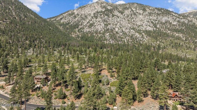 490 Natures Edge Rd, Gardnerville, NV 89410