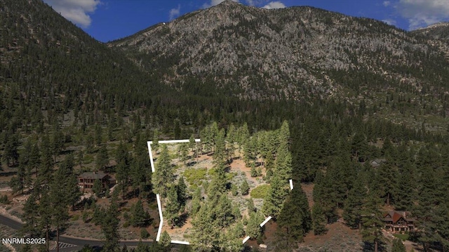490 Natures Edge Rd, Gardnerville, NV 89410