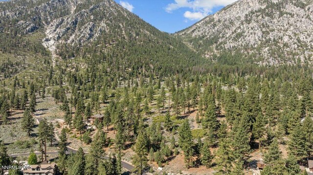 490 Natures Edge Rd, Gardnerville, NV 89410